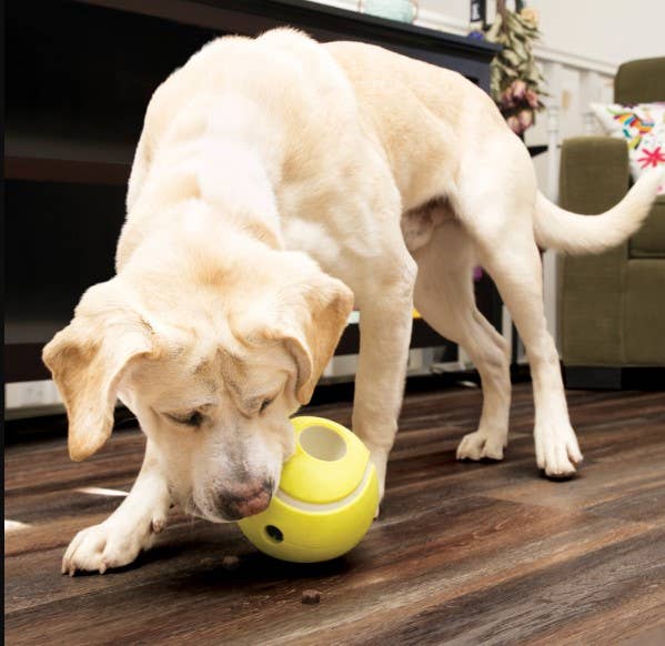 KONG® Rewards Tennis Dog Enrichment Toy Large
