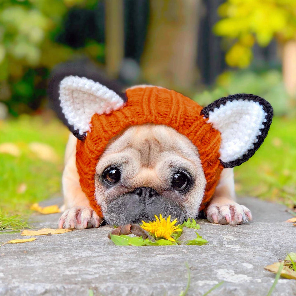 Fox Dog Snood