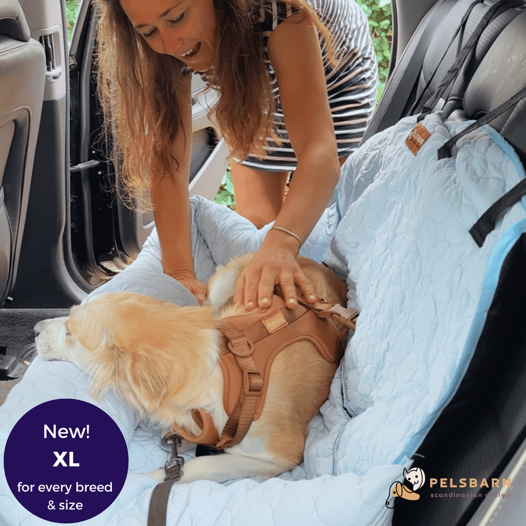 Cooling Car Bed Heat Relief - Pelsbarn 🐾: Beige / XL