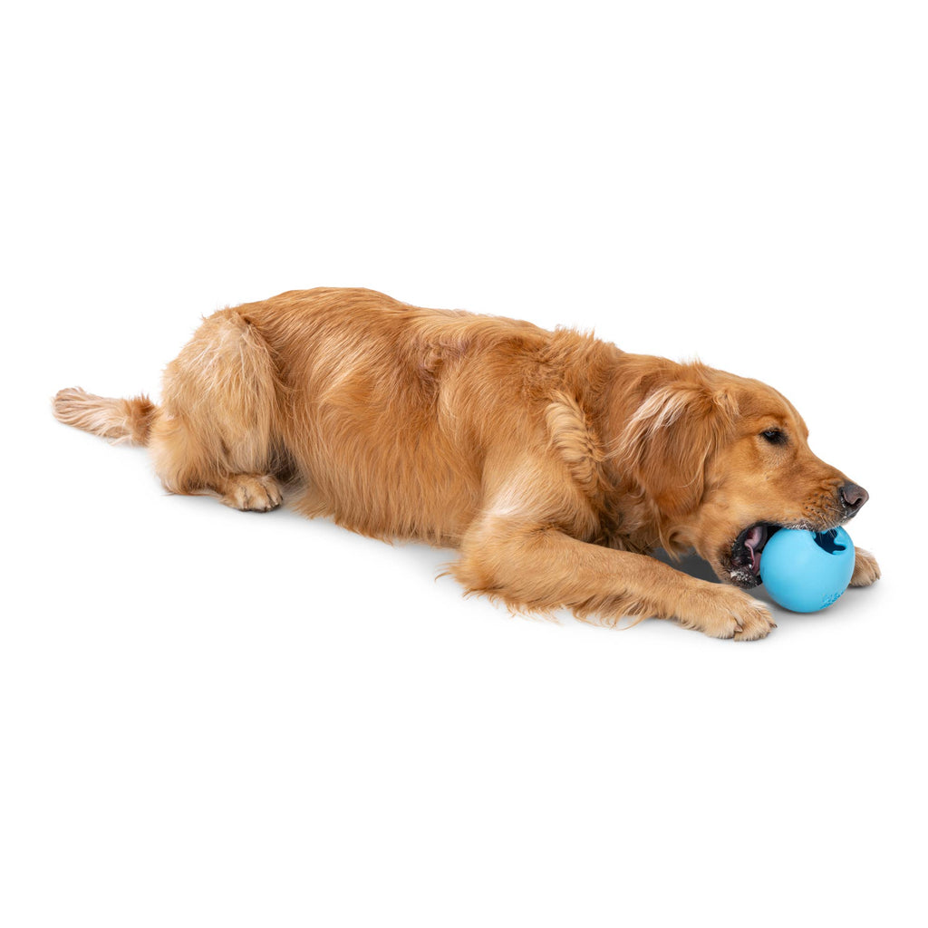Rumbl® Puzzle Treat-Dispensing Enrichment Dog Toy: Aqua Blue / L