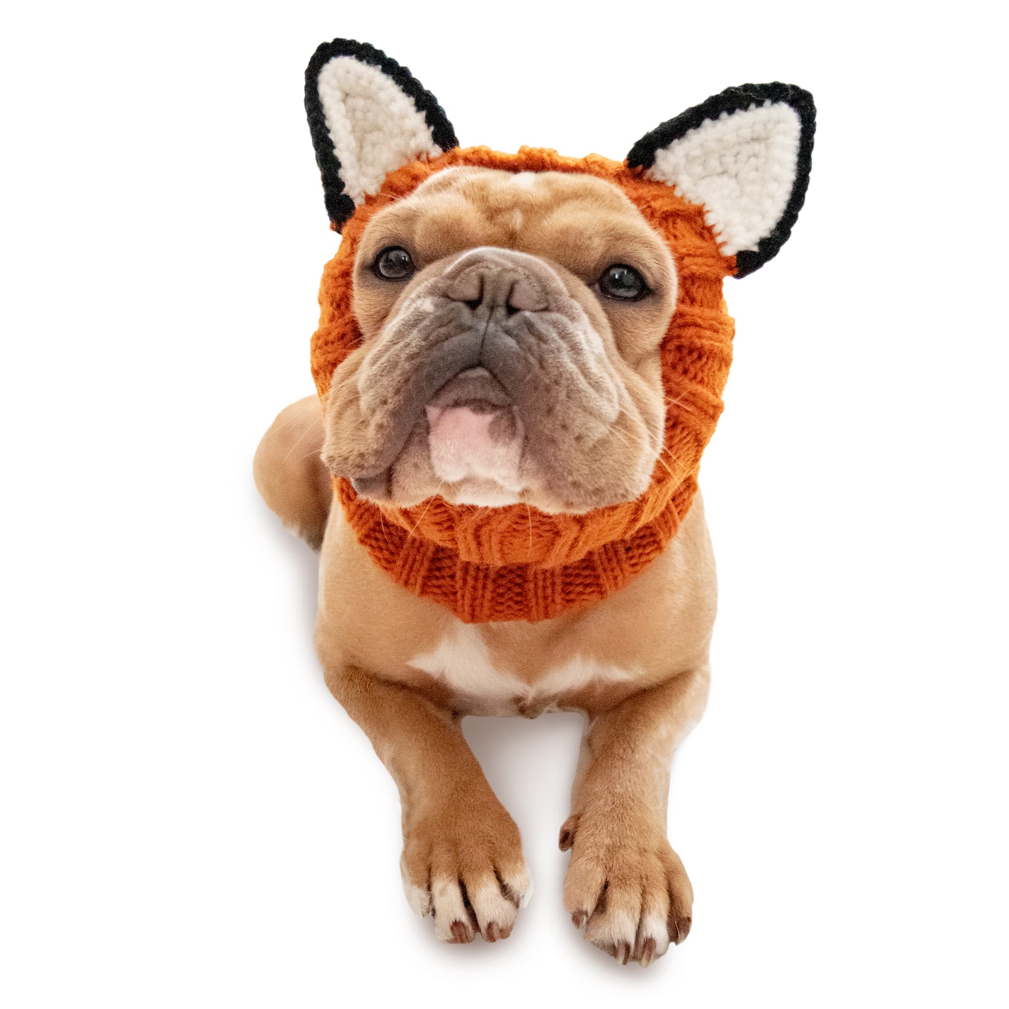 Fox Dog Snood