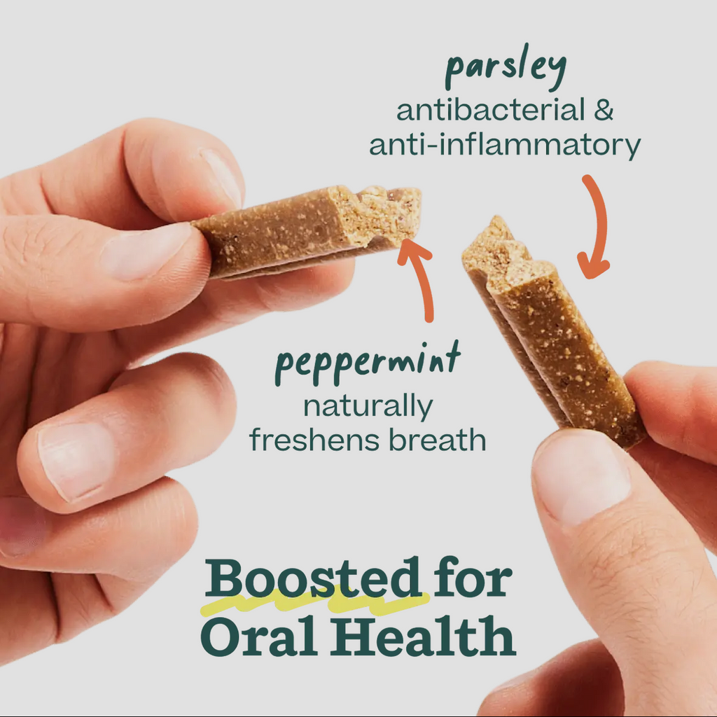 Bite n' Brush Dental Refills