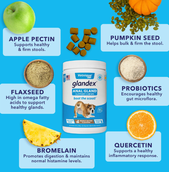 Glandex Anal Gland Support Soft Chews Peanut Butter 60ct