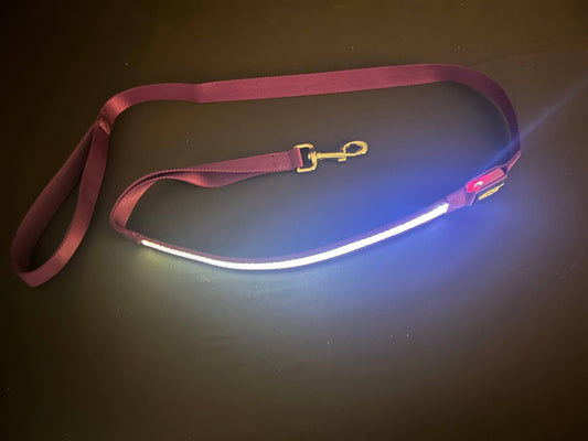 K-9ightLights LLC Pet Supplies Best Light Up LED Dog Leash: Purple