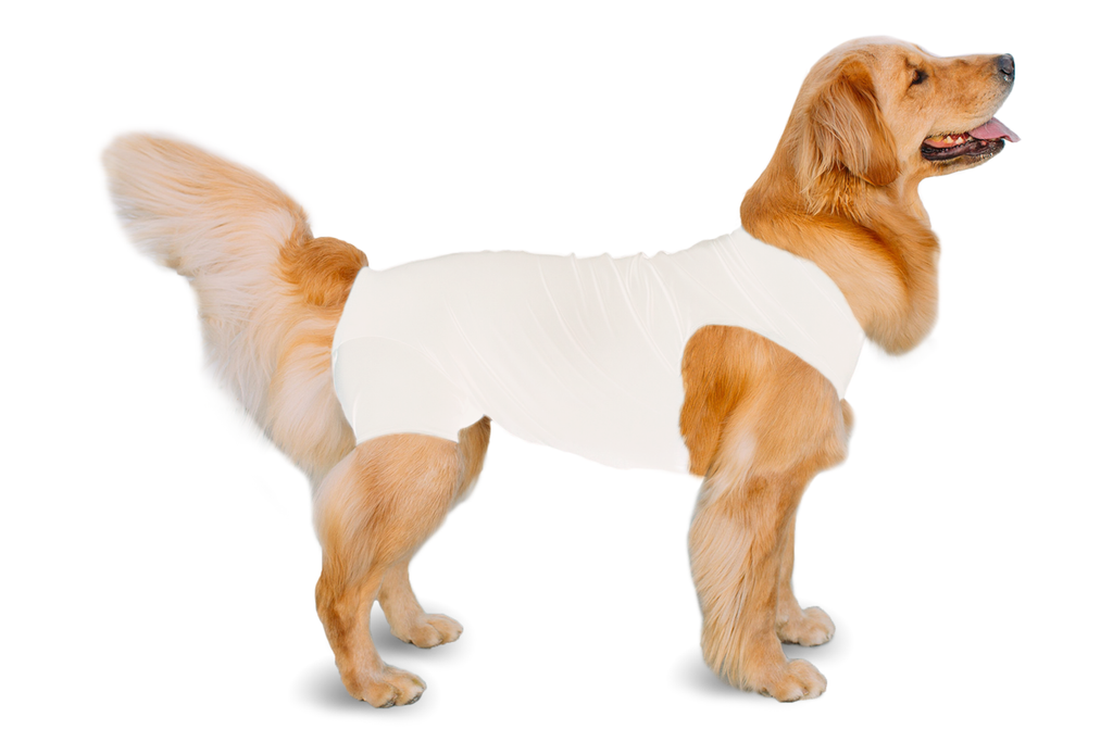 Shed Defender Recovery Onesie: Black