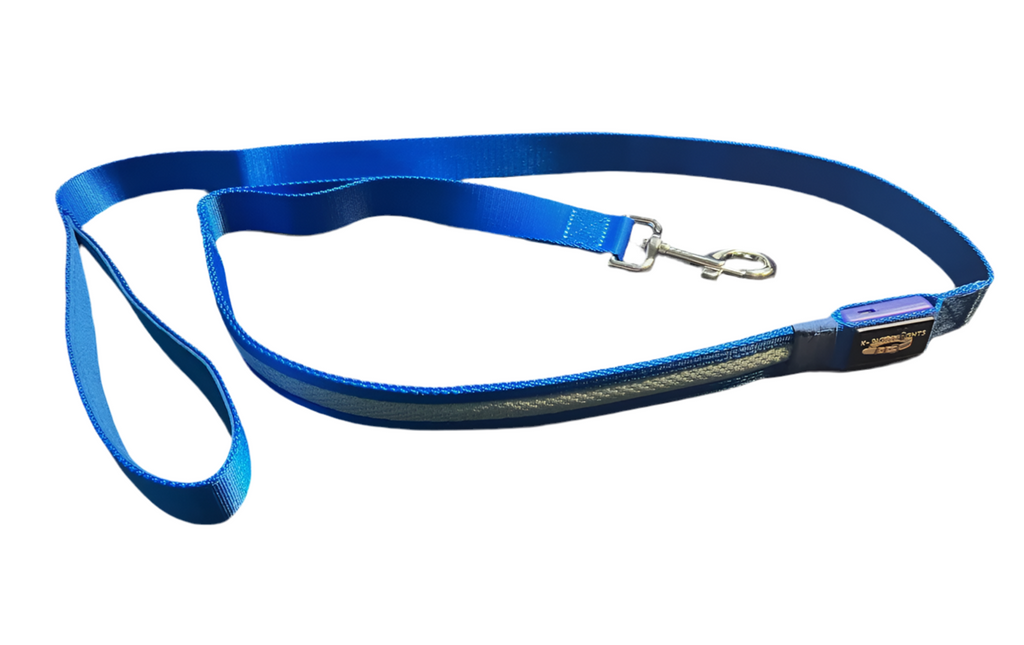 Light Up LED Dog Leash: Blue