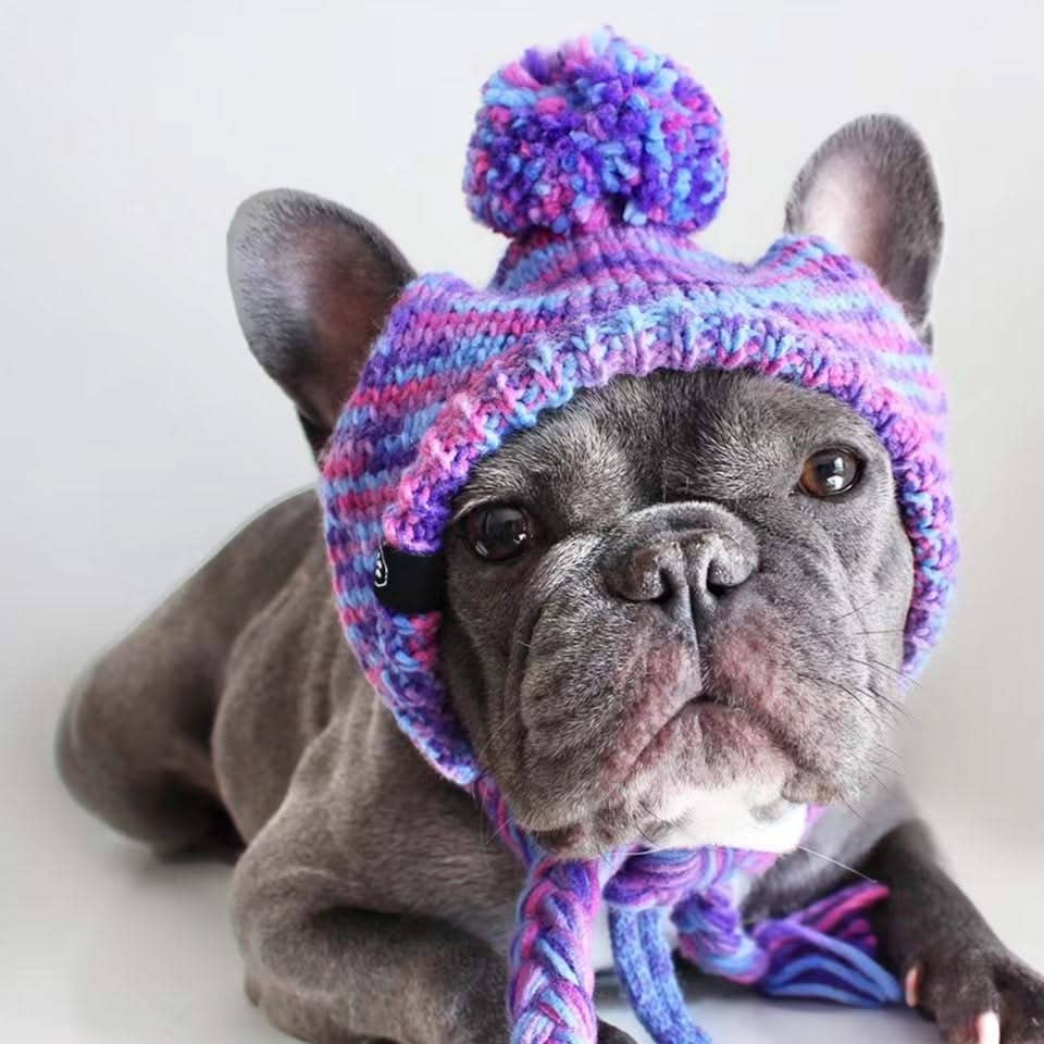 Knit Pom Pom Dog Beanie Hat - Purple & Lavender: L (45-100lbs/20-50kg)