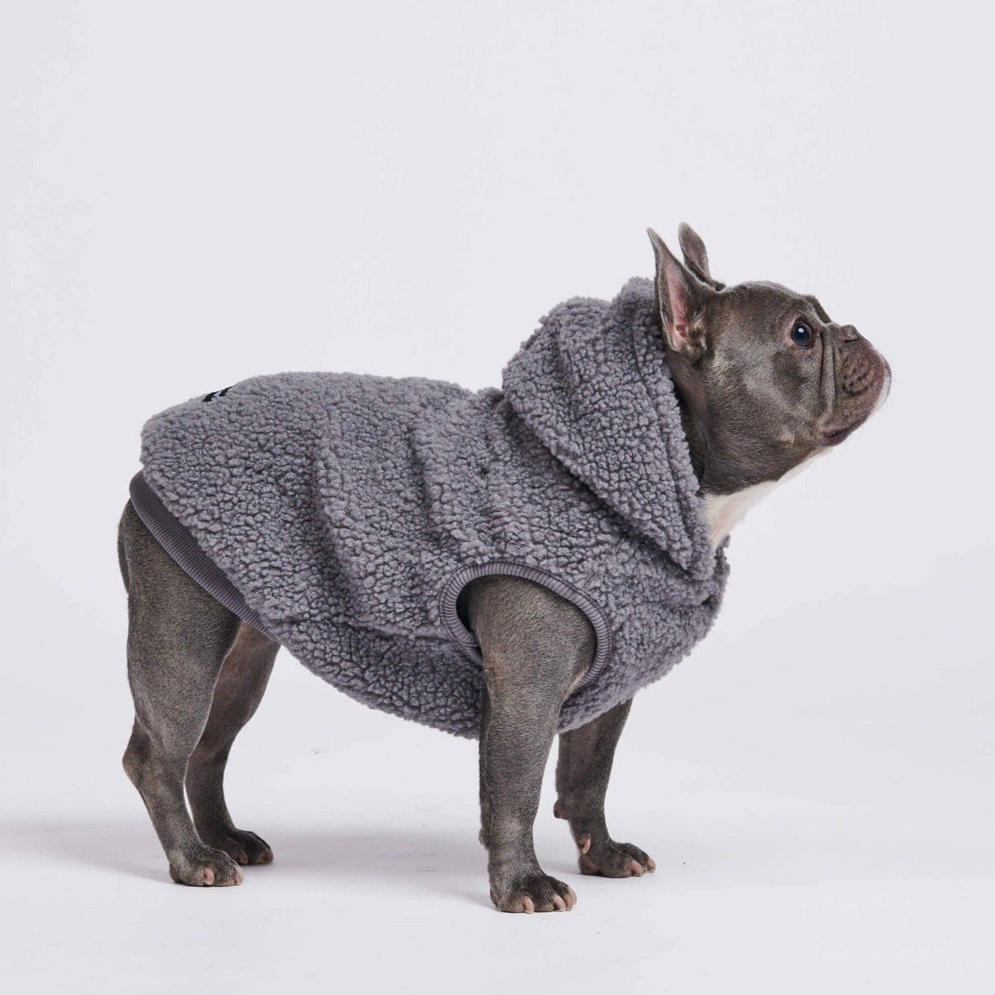 Teddy Sherpa Dog Jacket - Grey