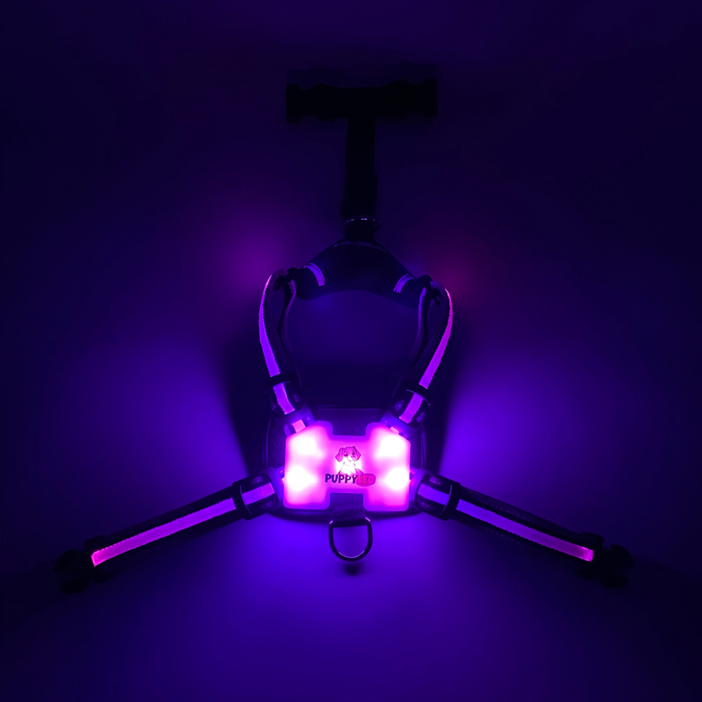 LED Dog Harness
