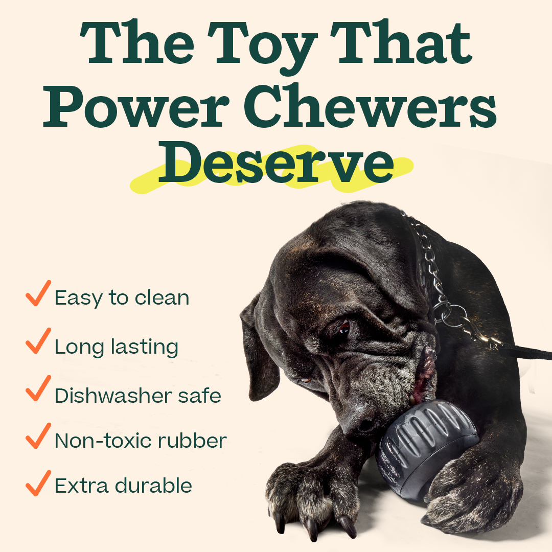 The 'Power Chewer' Pupsicle: X-Large