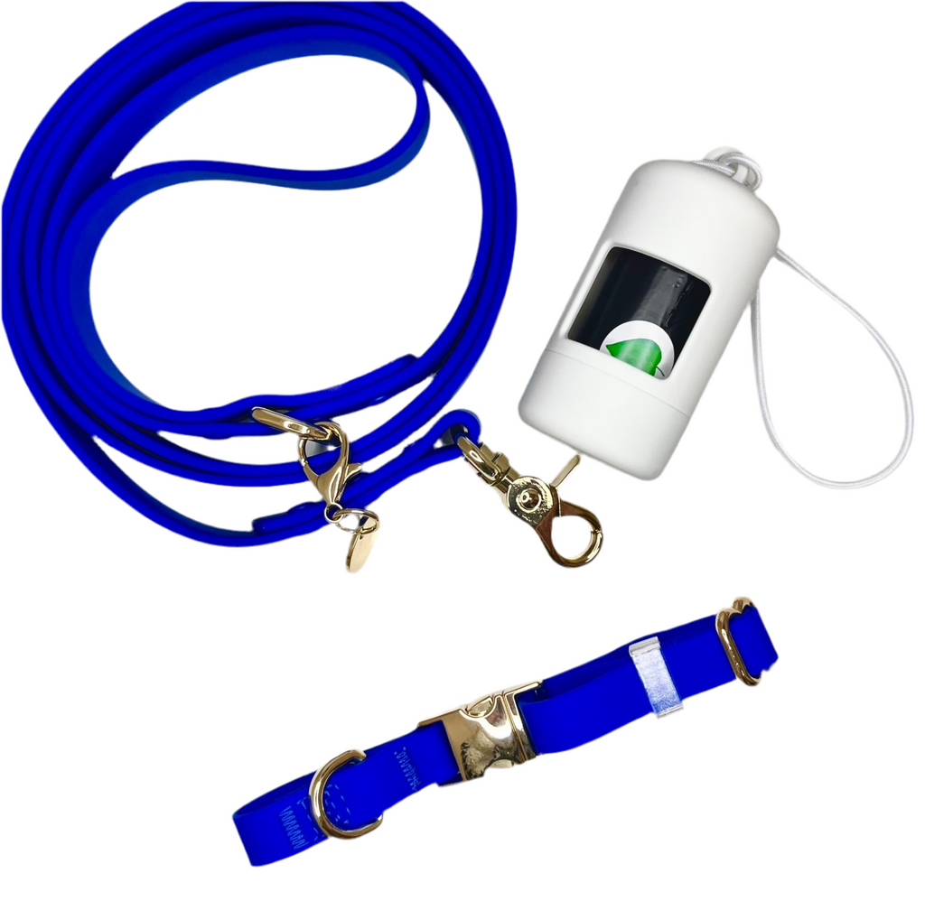 Royal Blue Dog Leash