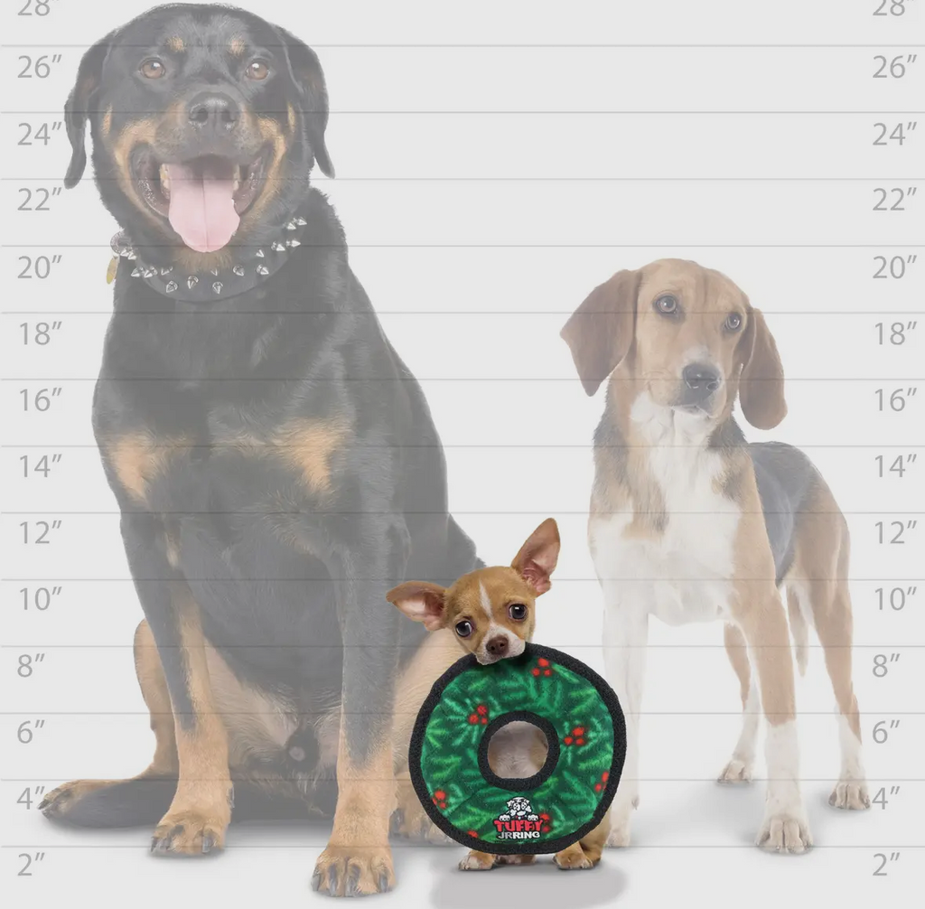 Tuffy Jr Ring Wreath, Durable, Squeaky Dog Toy