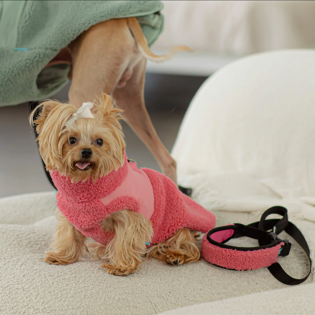 Zip Up Sherpa Vest: Black