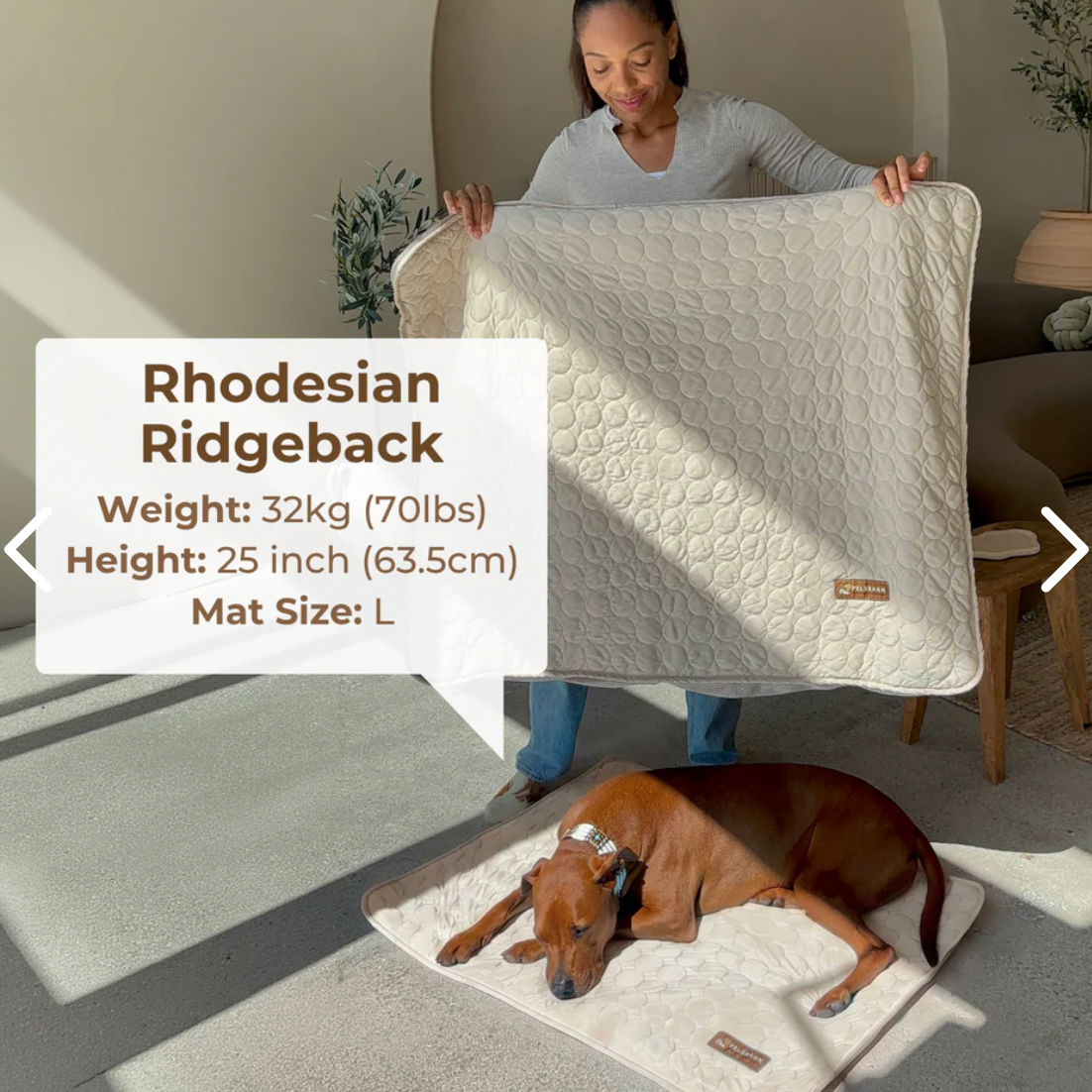 Cooling Mat - Pelsbarn 🐾: Beige / XL