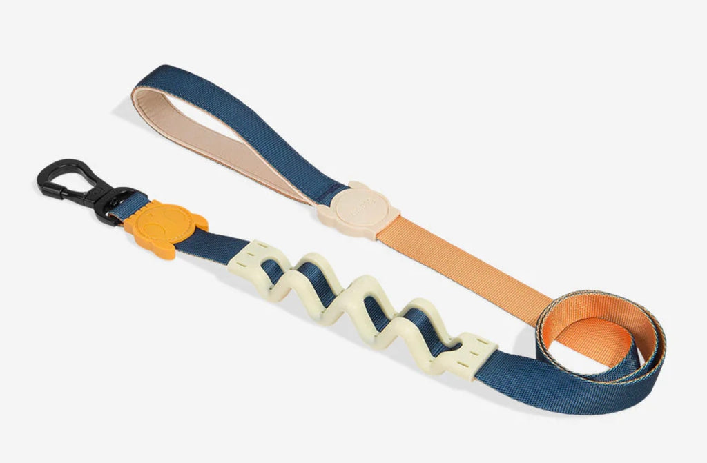 Voyager | Ruff Leash 2.0