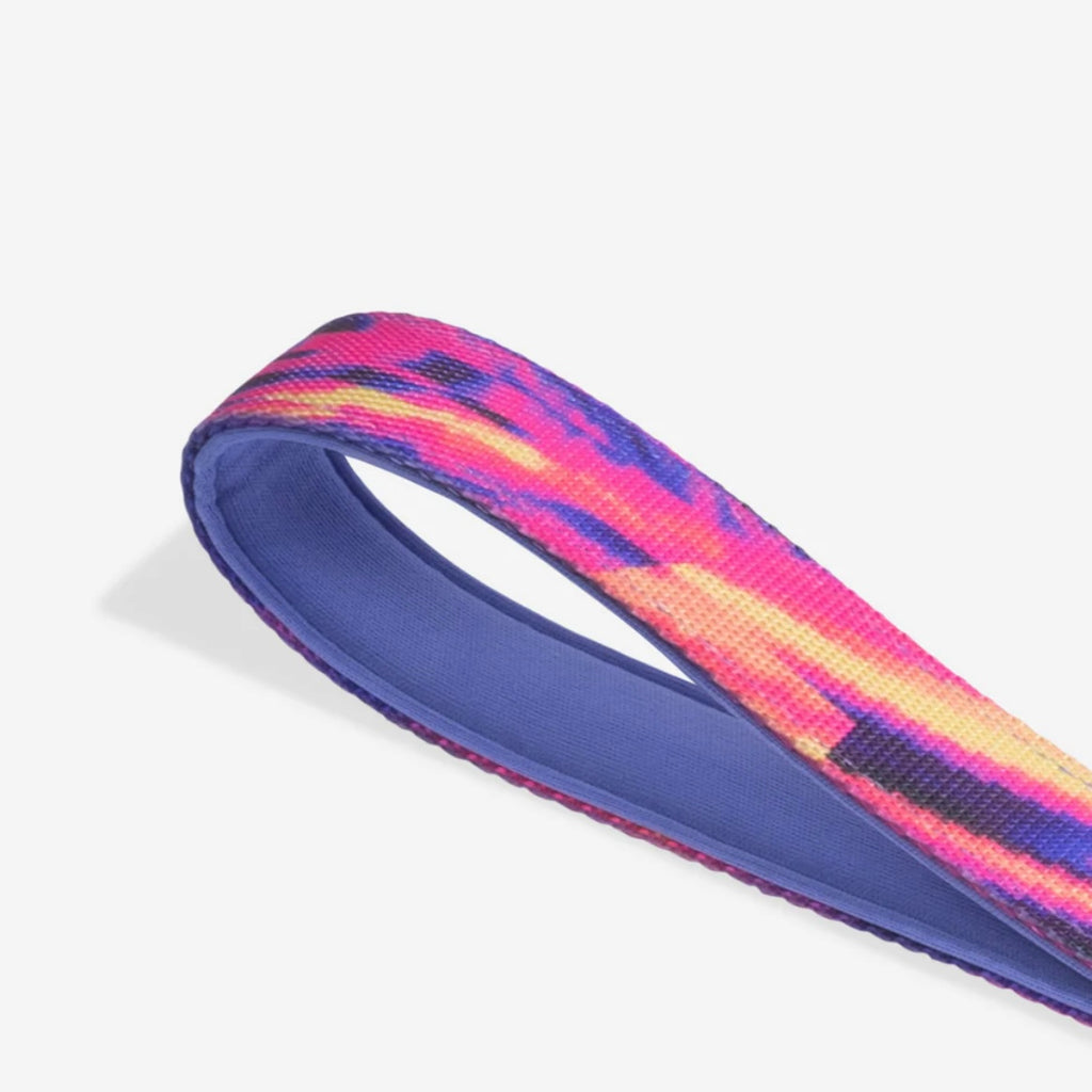 Error #500 | Ruff Leash