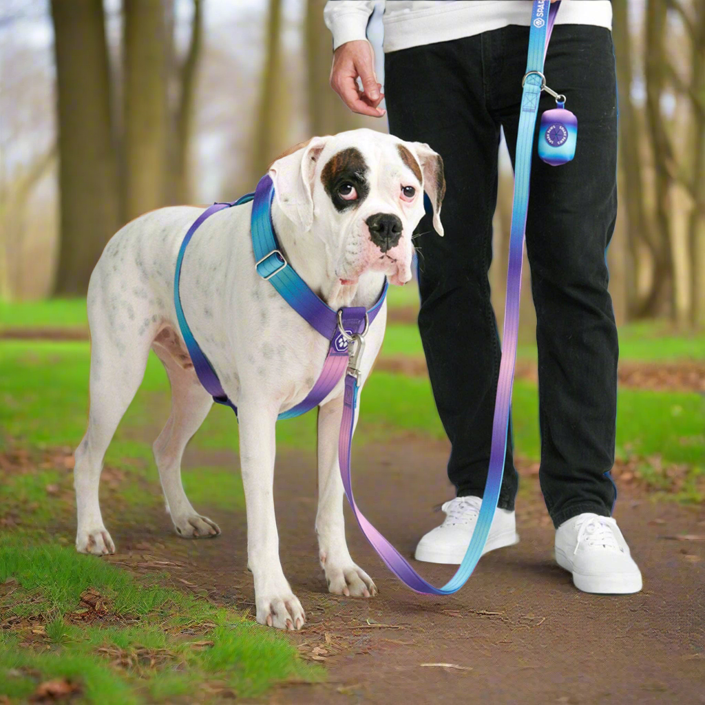 Comfort Control No-Pull Dog Harness - 90s Retro
