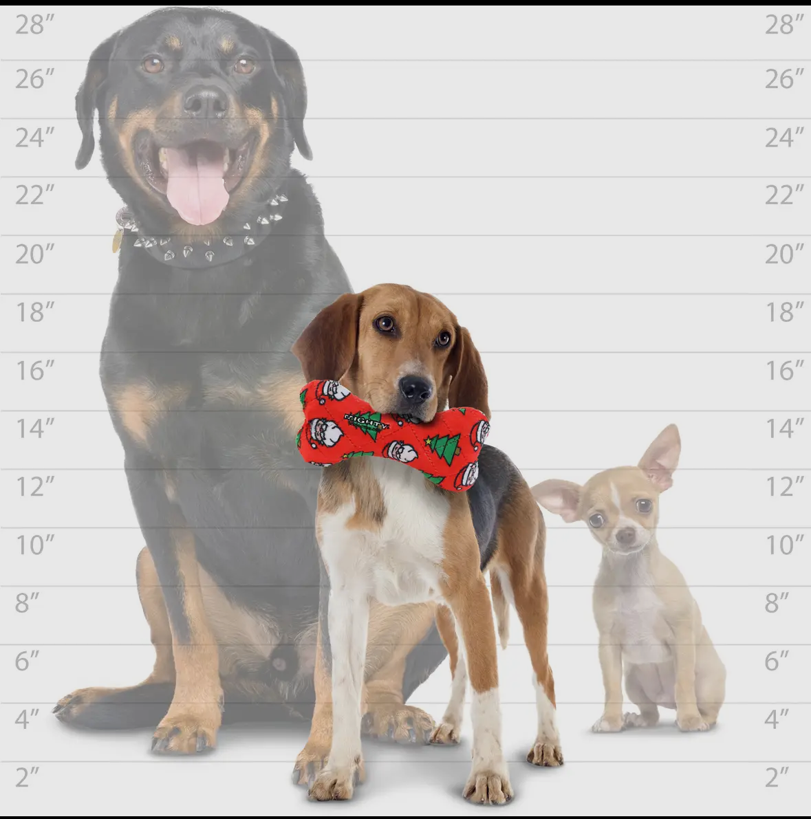 Mighty Bone- Medium Christmas Squeaky Dog Toy, No Stuffing