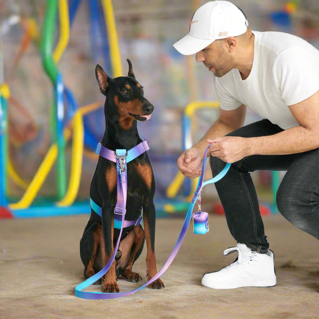 Comfort Control No-Pull Dog Harness - 90s Retro