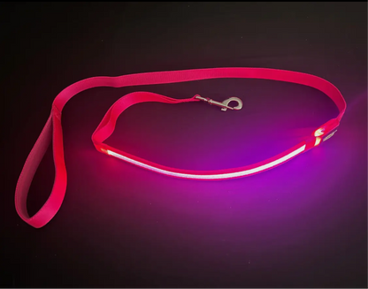 Light Up LED Dog Leash: Blue
