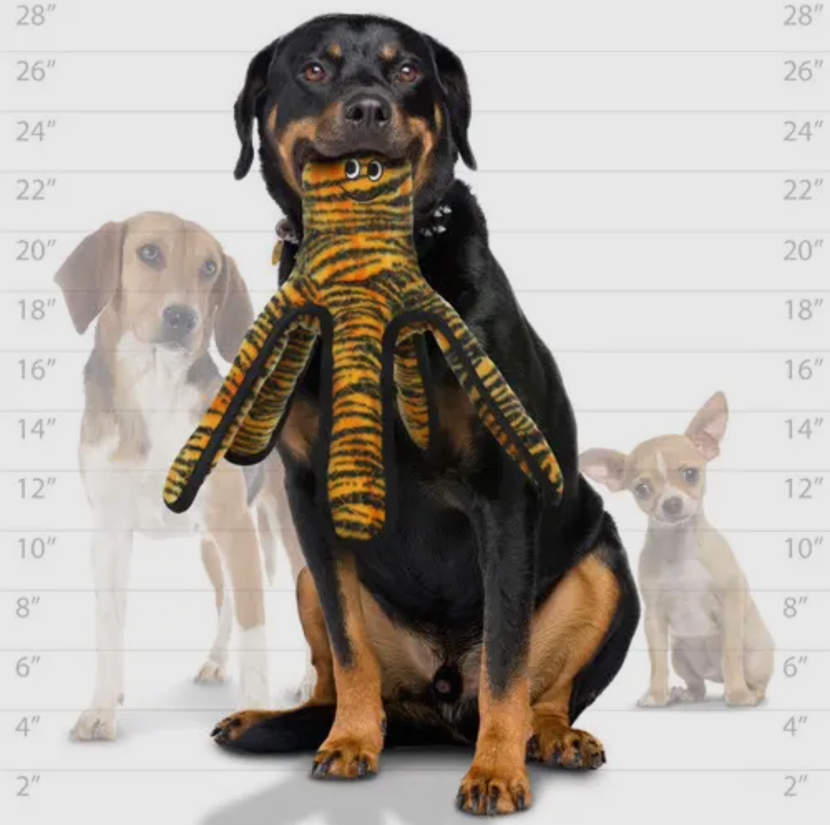 Tuffy Mega Large Octopus, Durable, Tough, Squeaky Dog Toy