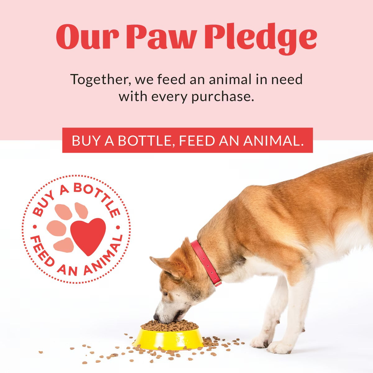 Skout's Honor Probiotic Daily Use Detangler Happy Puppy 8 oz