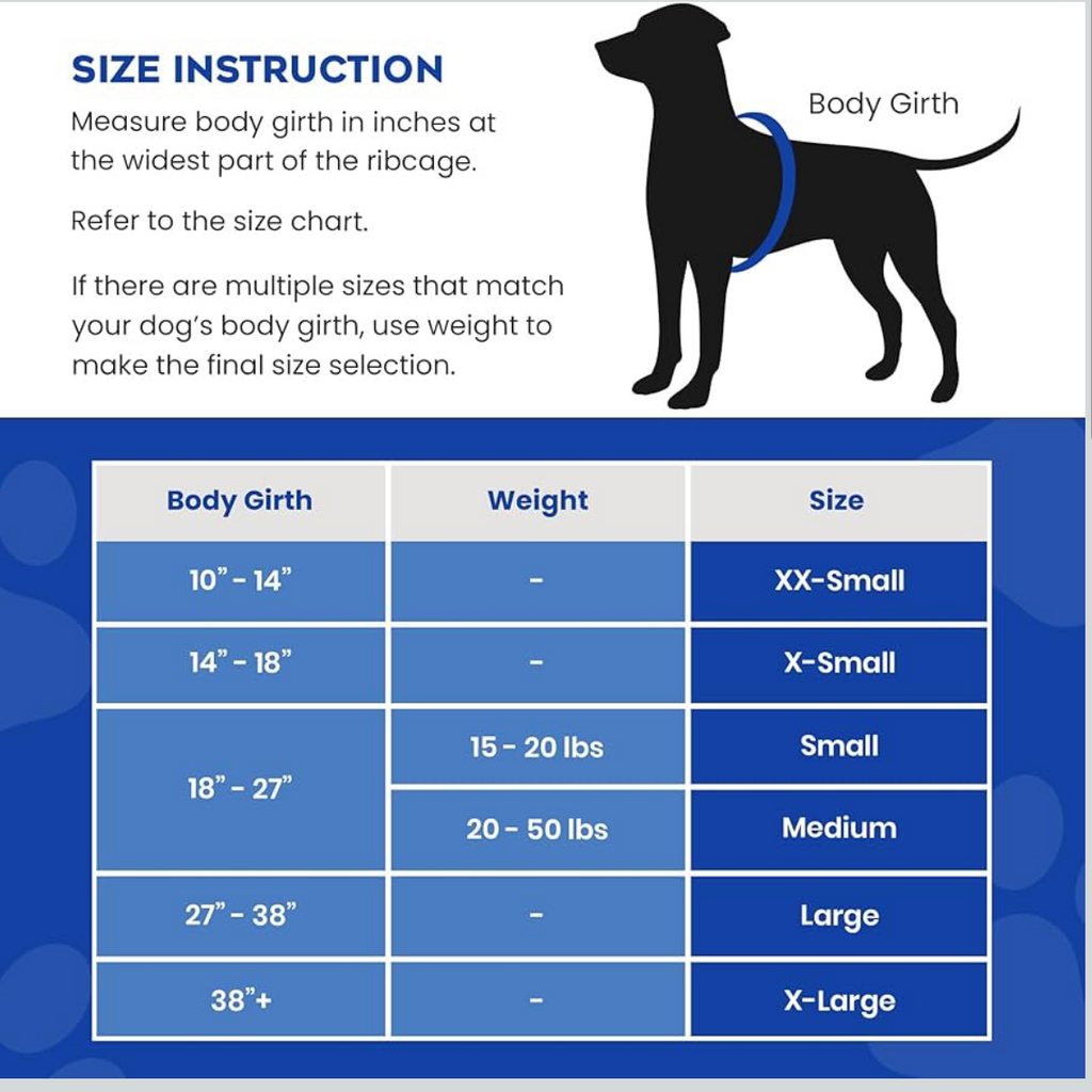 Paws Aboard Blue and Yellow Neoprene Pet Life Vest