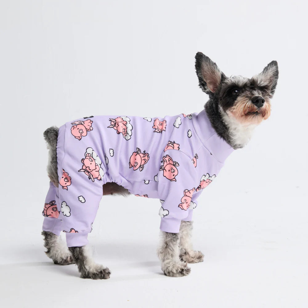Dog Pajama - When Pigs Fly
