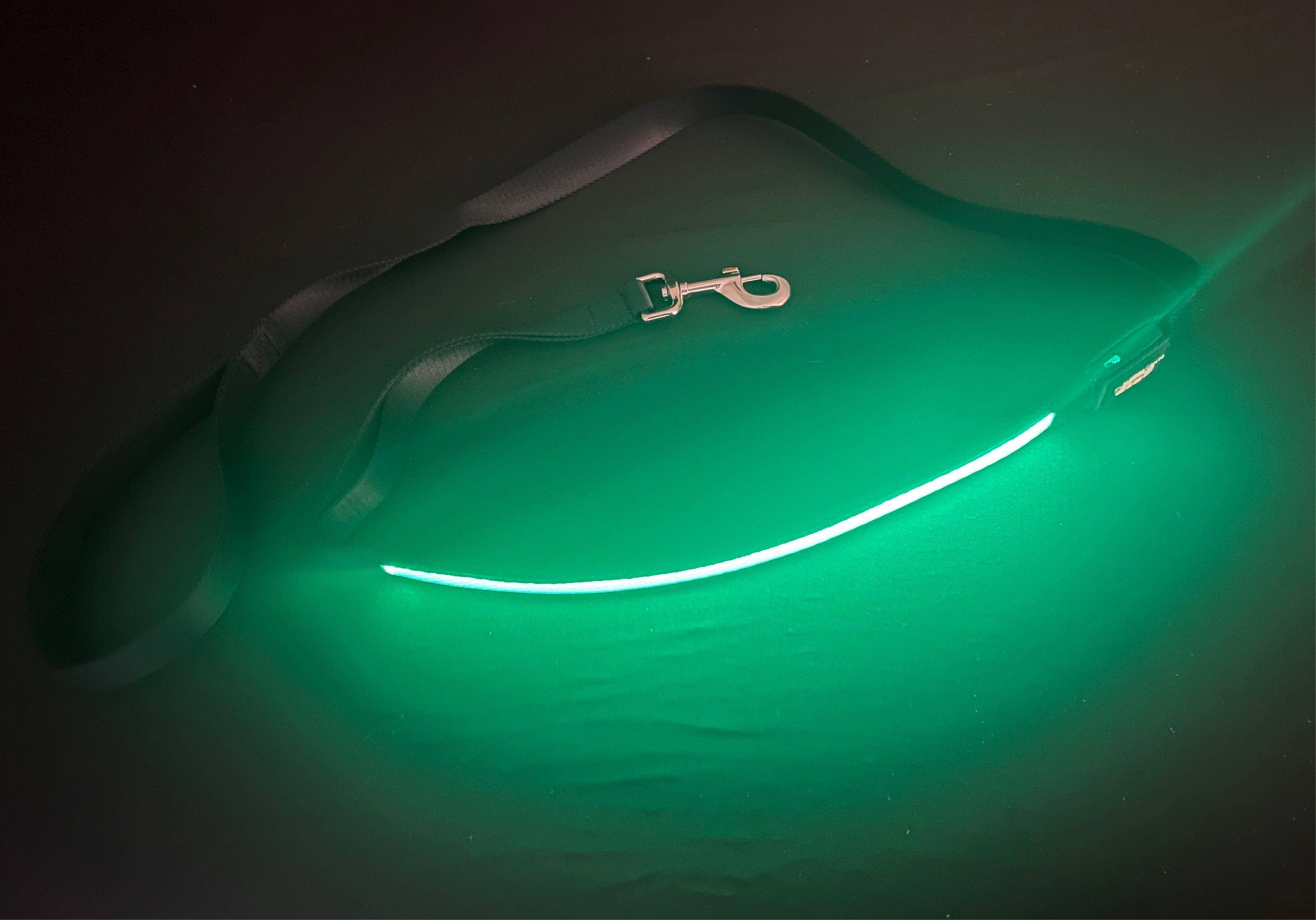 Light Up LED Dog Leash: Green