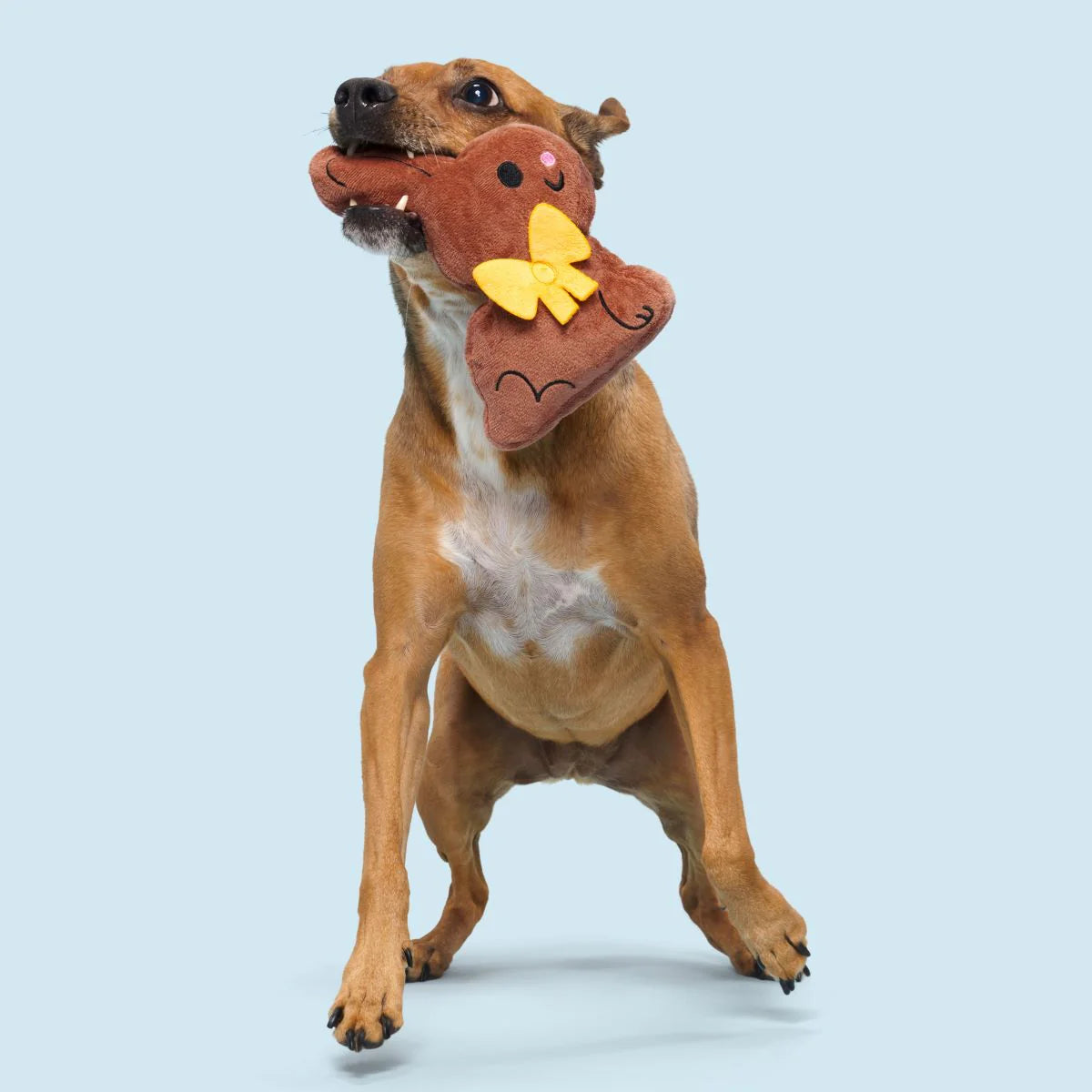 BARK Chocolick Chunky Bunky Plush Dog Toy