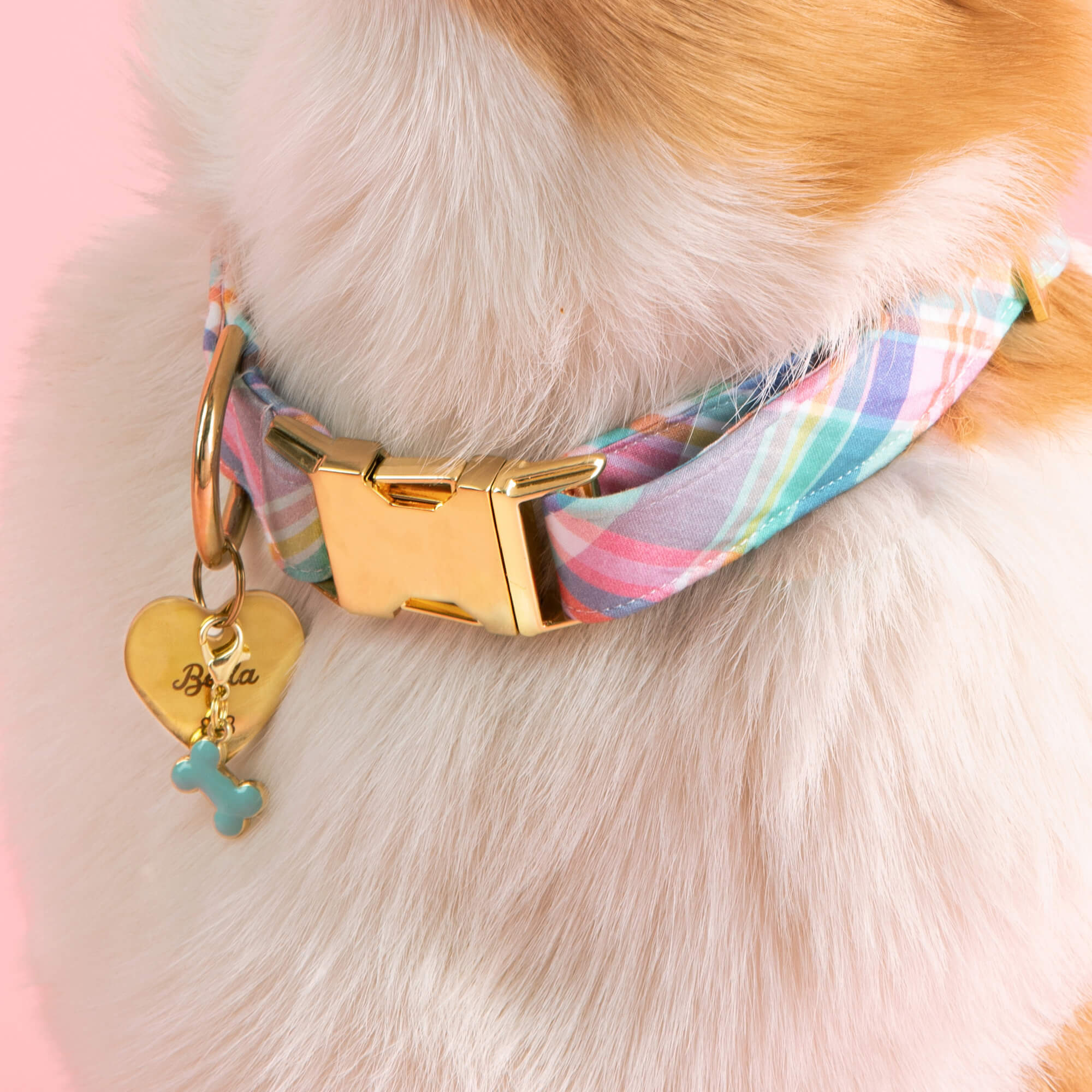 Blooming Plaid Spring Easter Dog Collar
