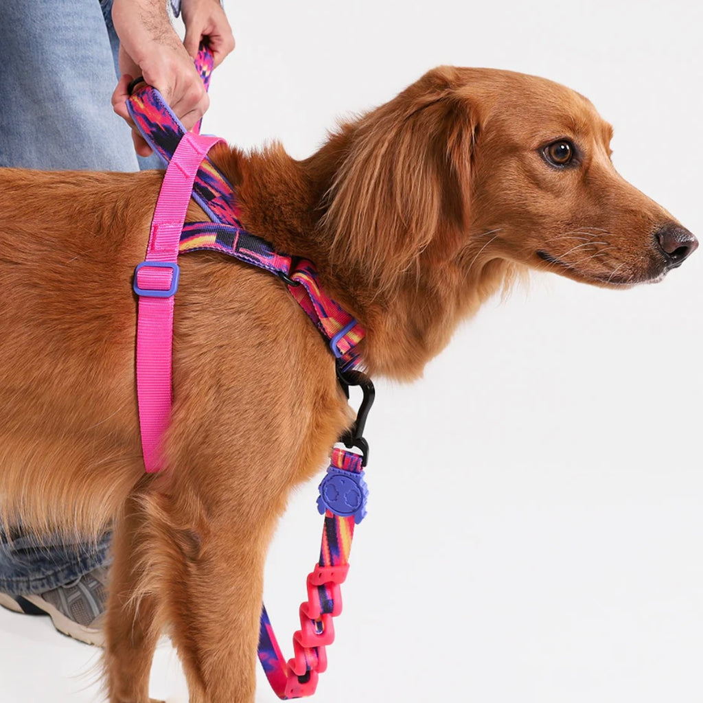 Glitch Error #500 | SofterWalk Harness