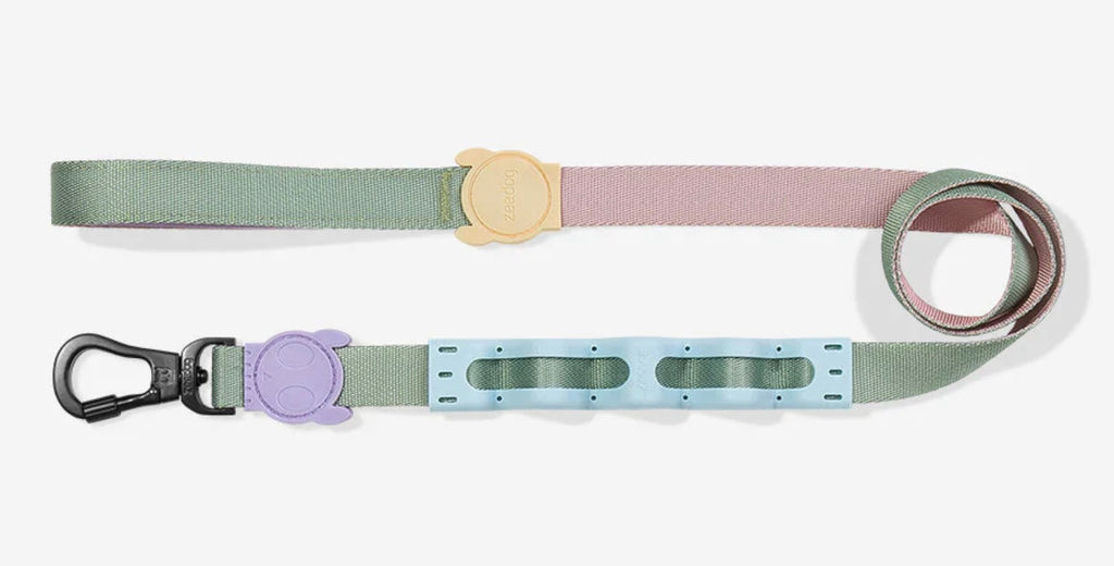 Peach | Ruff Leash 2.0