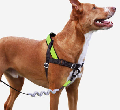 Zee Dog: NOX | SofterWalk Harness