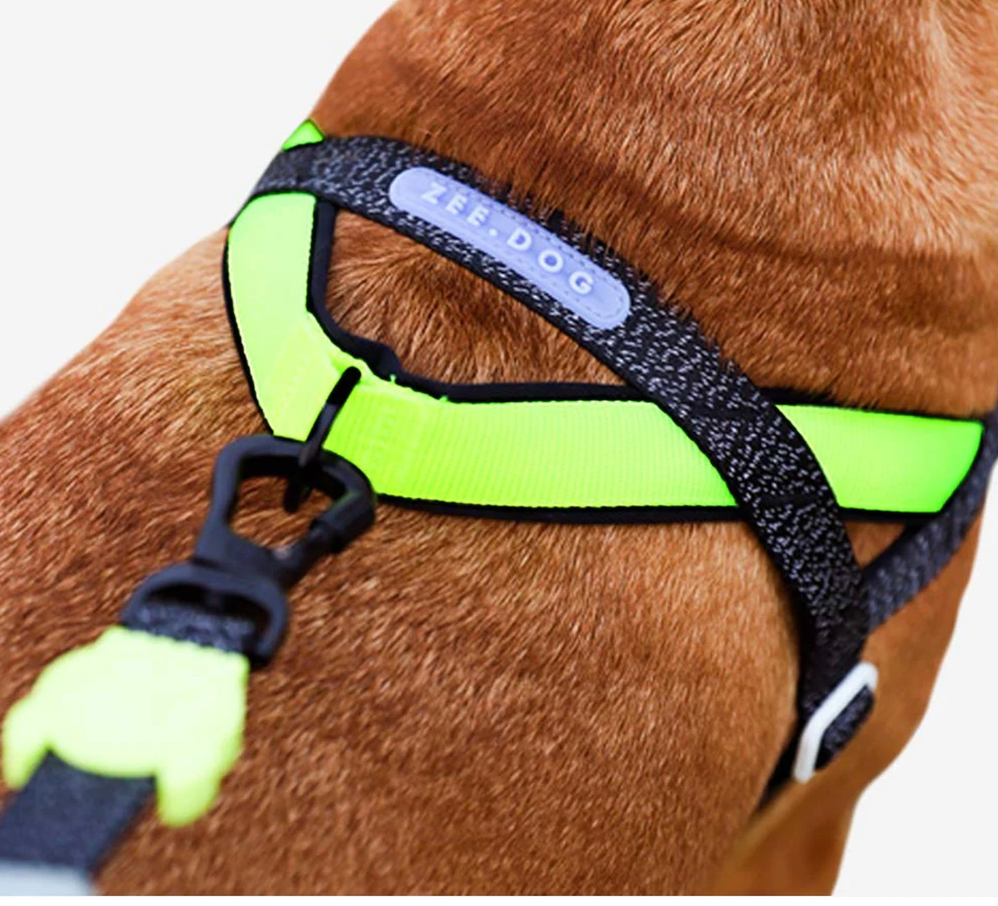 Zee Dog: NOX | SofterWalk Harness