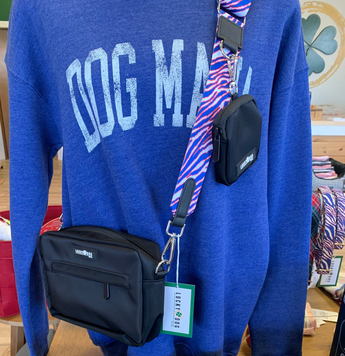 Game Day Dog Walking Bag Set