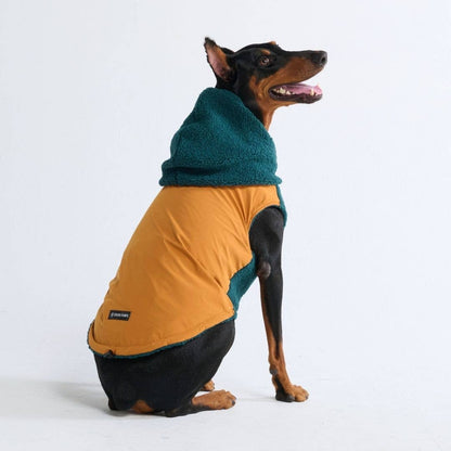 Reversible Jacket - Green and Orange: 3XL