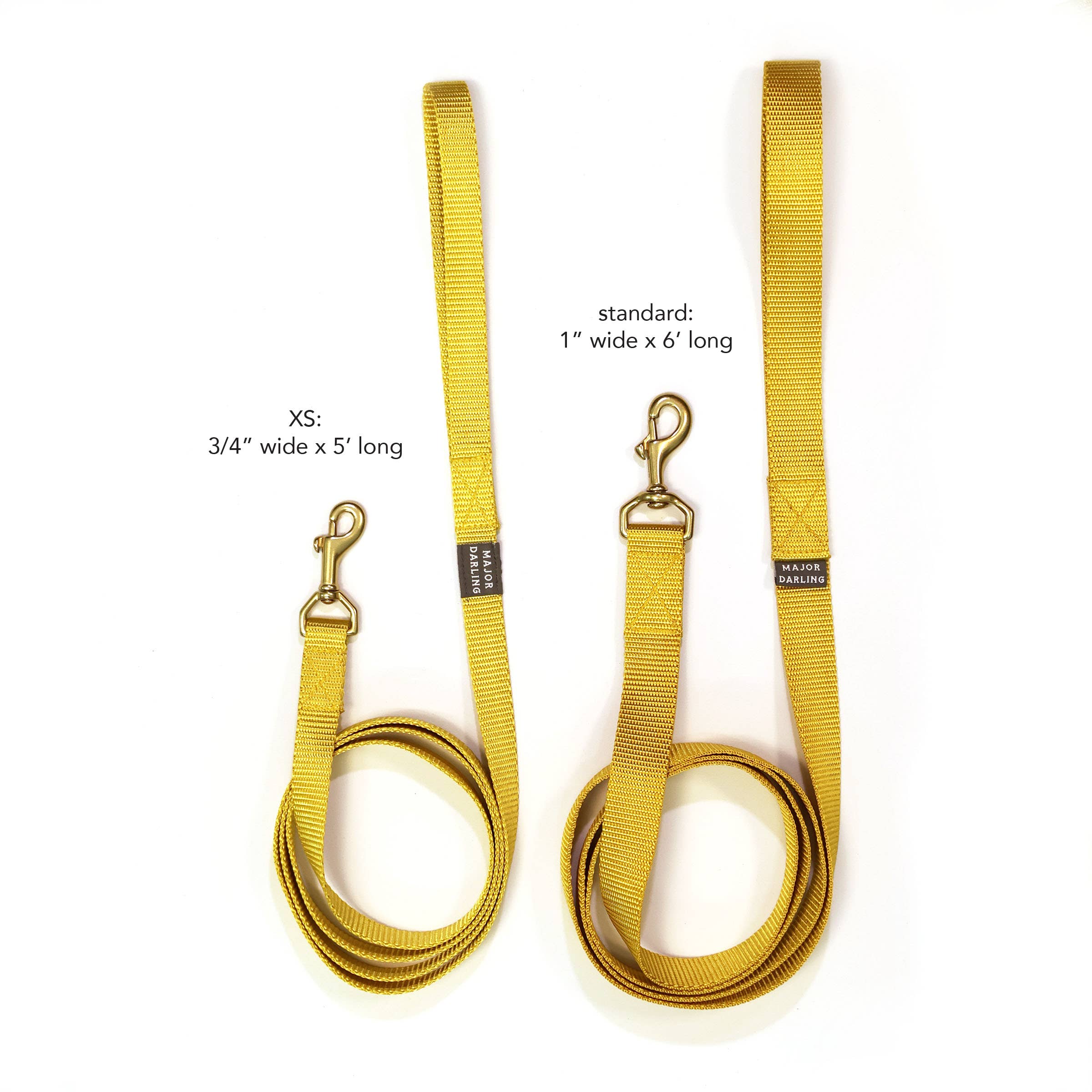 Basic Leash: Teal / Standard (1" wide)