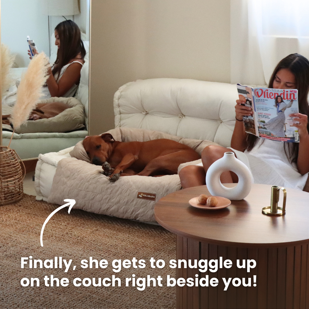 Cooling Dog Bed Heat Relief - Pelsbarn : Beige / M/L