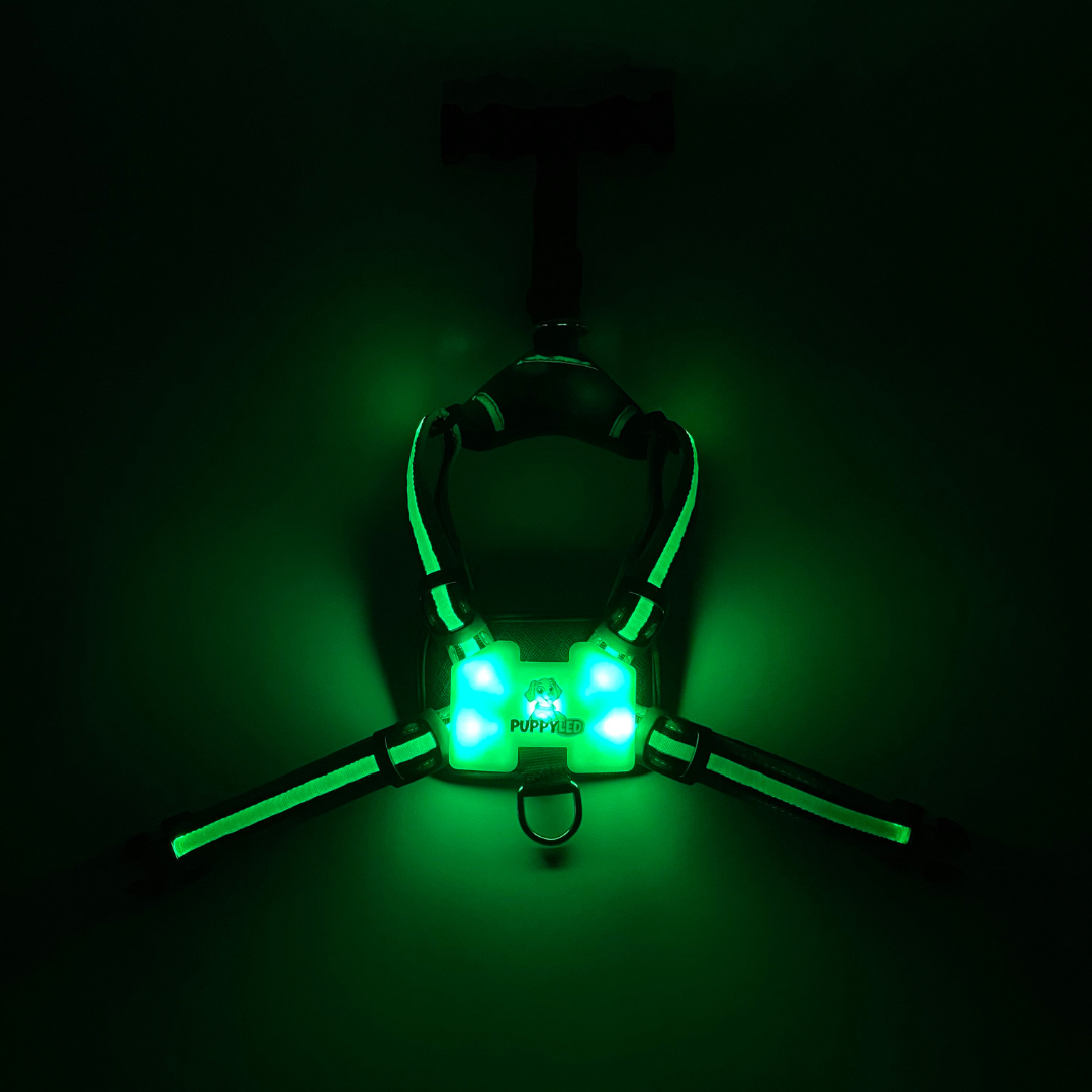 LED Dog Harness
