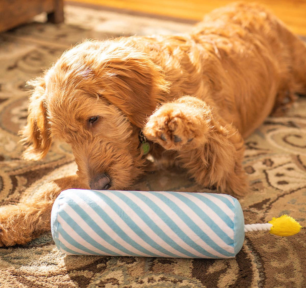 ThoozyPet Birthday Candle Blue Plush Dog Toy with Rope 16"