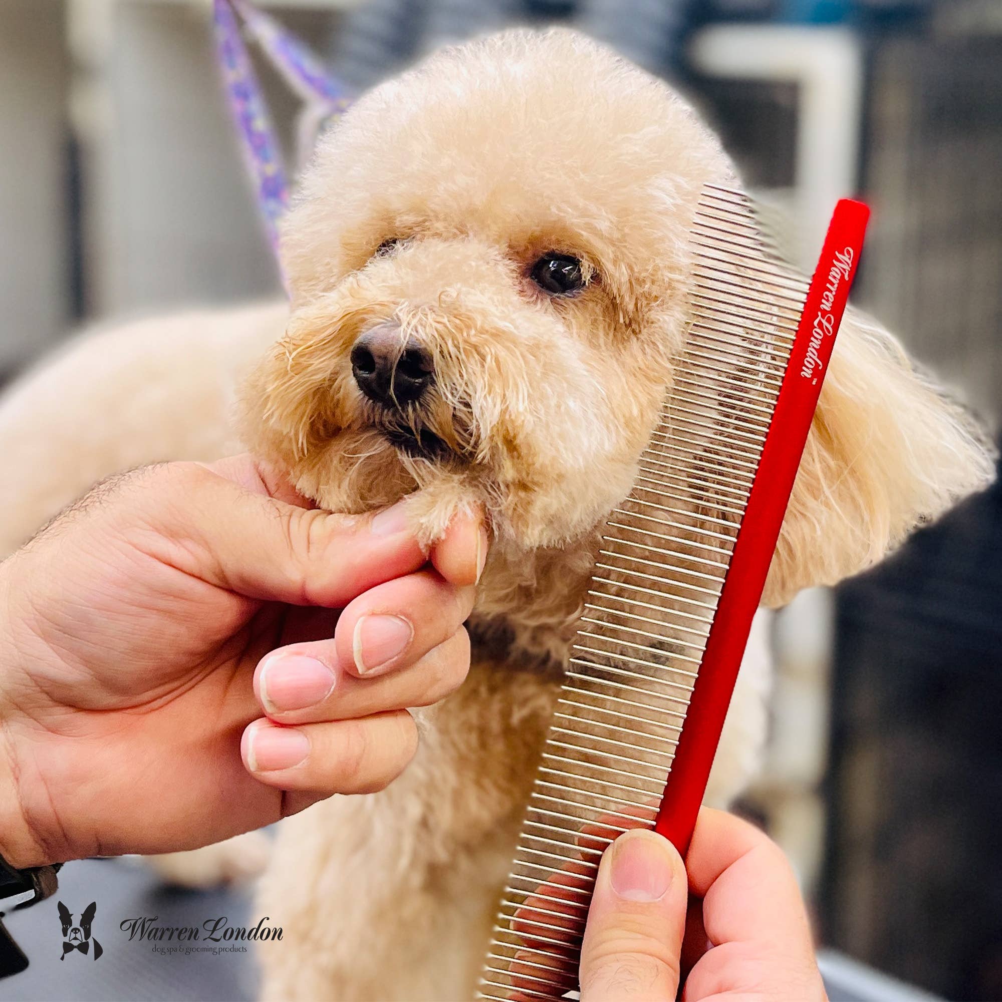 Detangling Comb for Dogs - 10" Strong and Durable Grooming