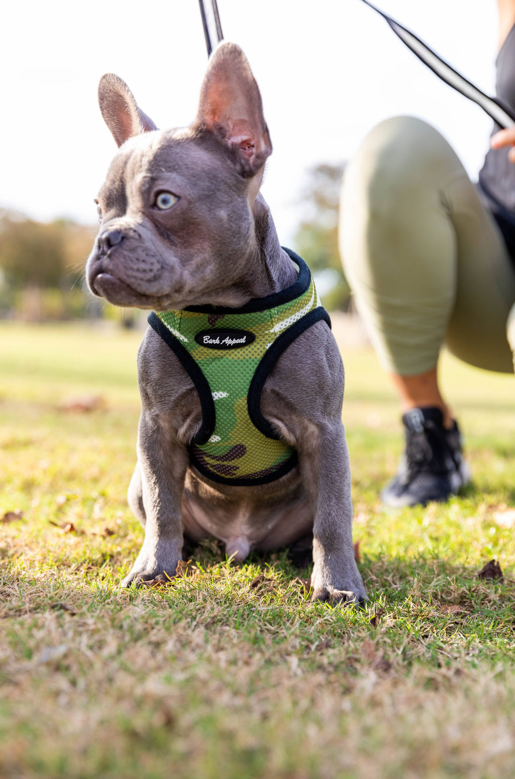 Mesh Step in Harnesses: Lavender
