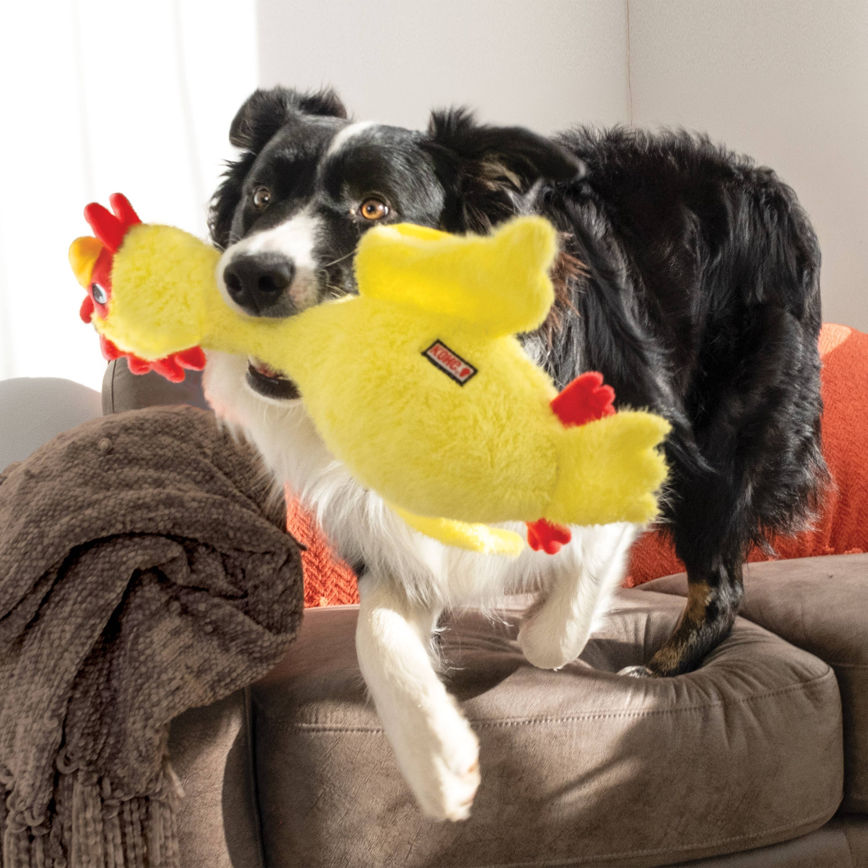 KONG® Scruffs Chicken Dog Plush Toy Medium/Large