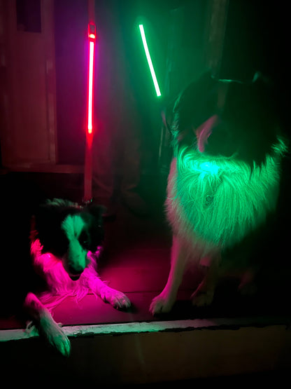 Light Up LED Dog Leash: Green