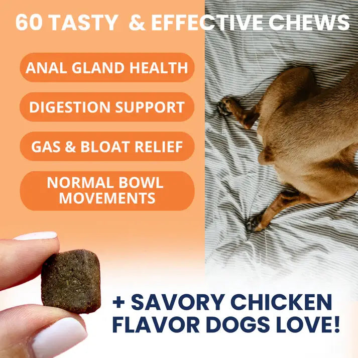 Under the Weather Scoot Stop Soft Chew 60ct