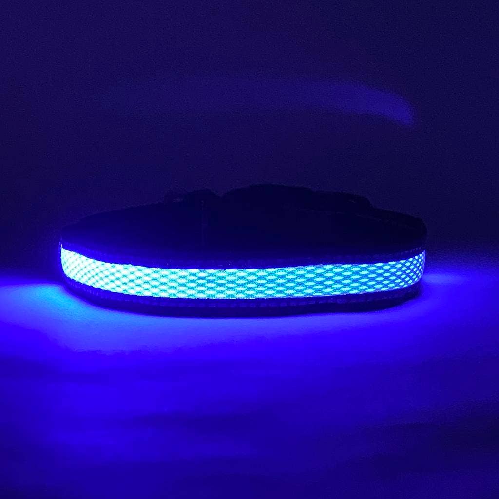 LED Dog Collar: Green