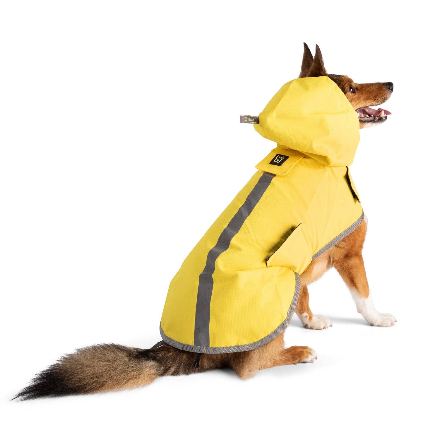 Rain Coat Nandog Sport Collection