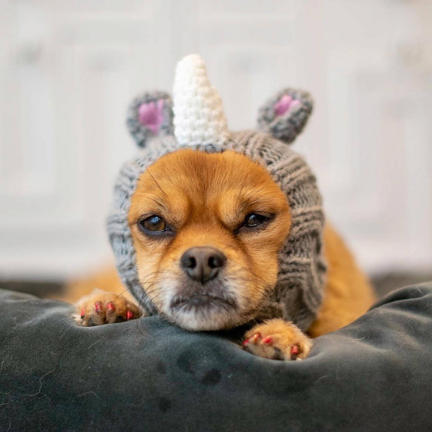 Rhino Dog Snood