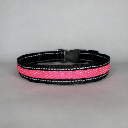 LED Dog Collar: Pink